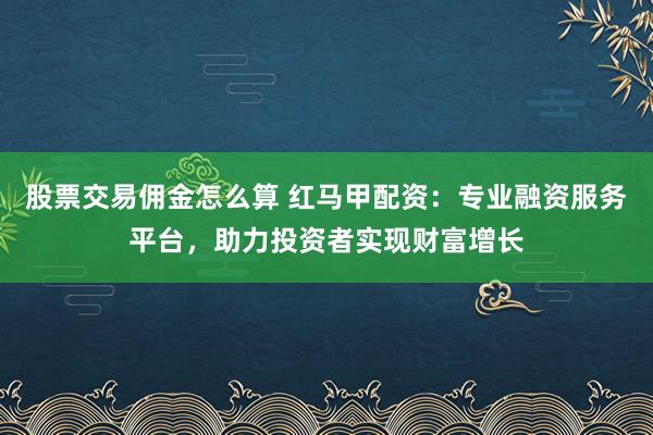 股票交易佣金怎么算 红马甲配资：专业融资服务平台，助力投资者实现财富增长