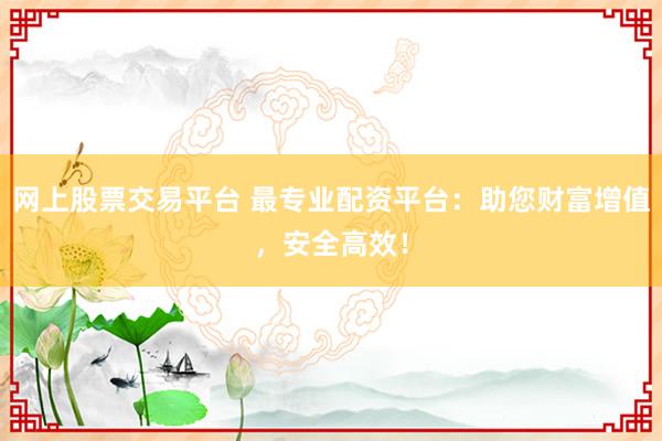 网上股票交易平台 最专业配资平台：助您财富增值，安全高效！