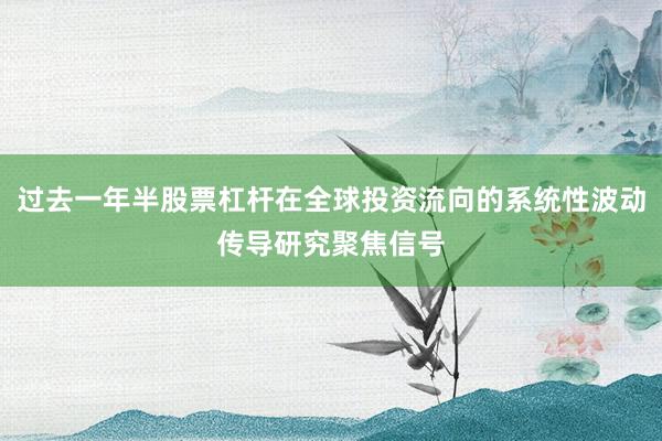过去一年半股票杠杆在全球投资流向的系统性波动传导研究聚焦信号