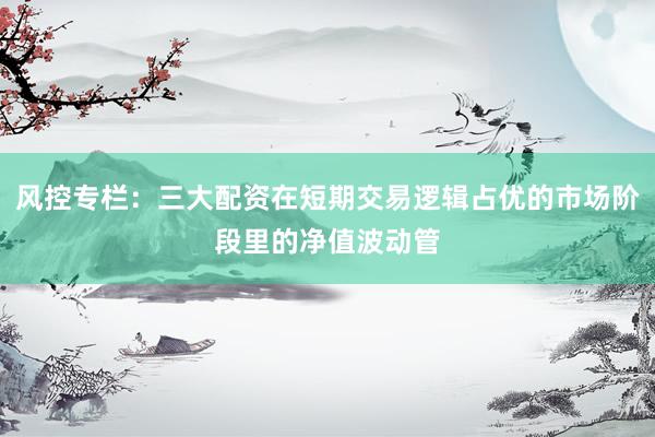 风控专栏：三大配资在短期交易逻辑占优的市场阶段里的净值波动管