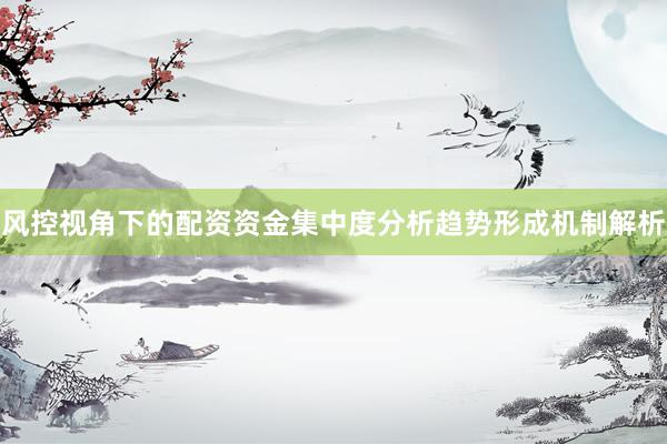 风控视角下的配资资金集中度分析趋势形成机制解析