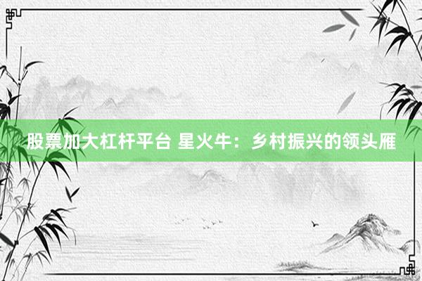股票加大杠杆平台 星火牛：乡村振兴的领头雁