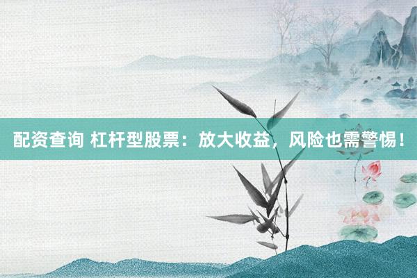 配资查询 杠杆型股票：放大收益，风险也需警惕！